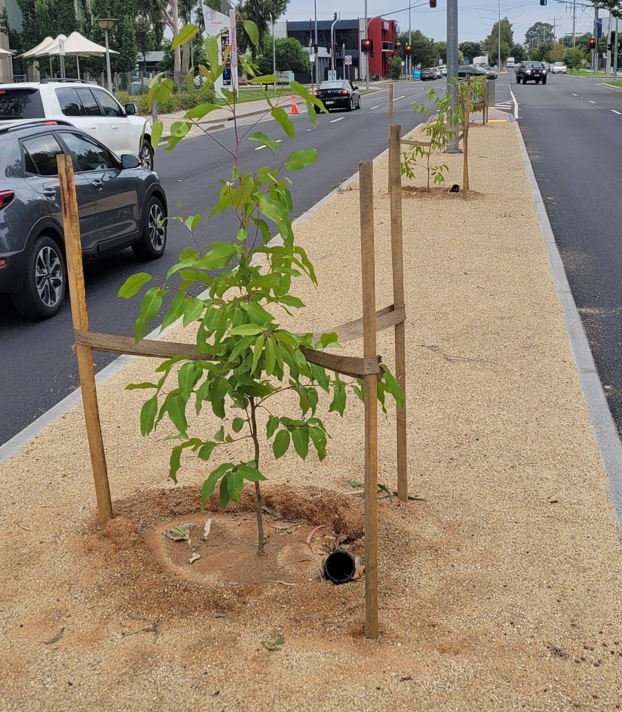Enhancing Urban Trees