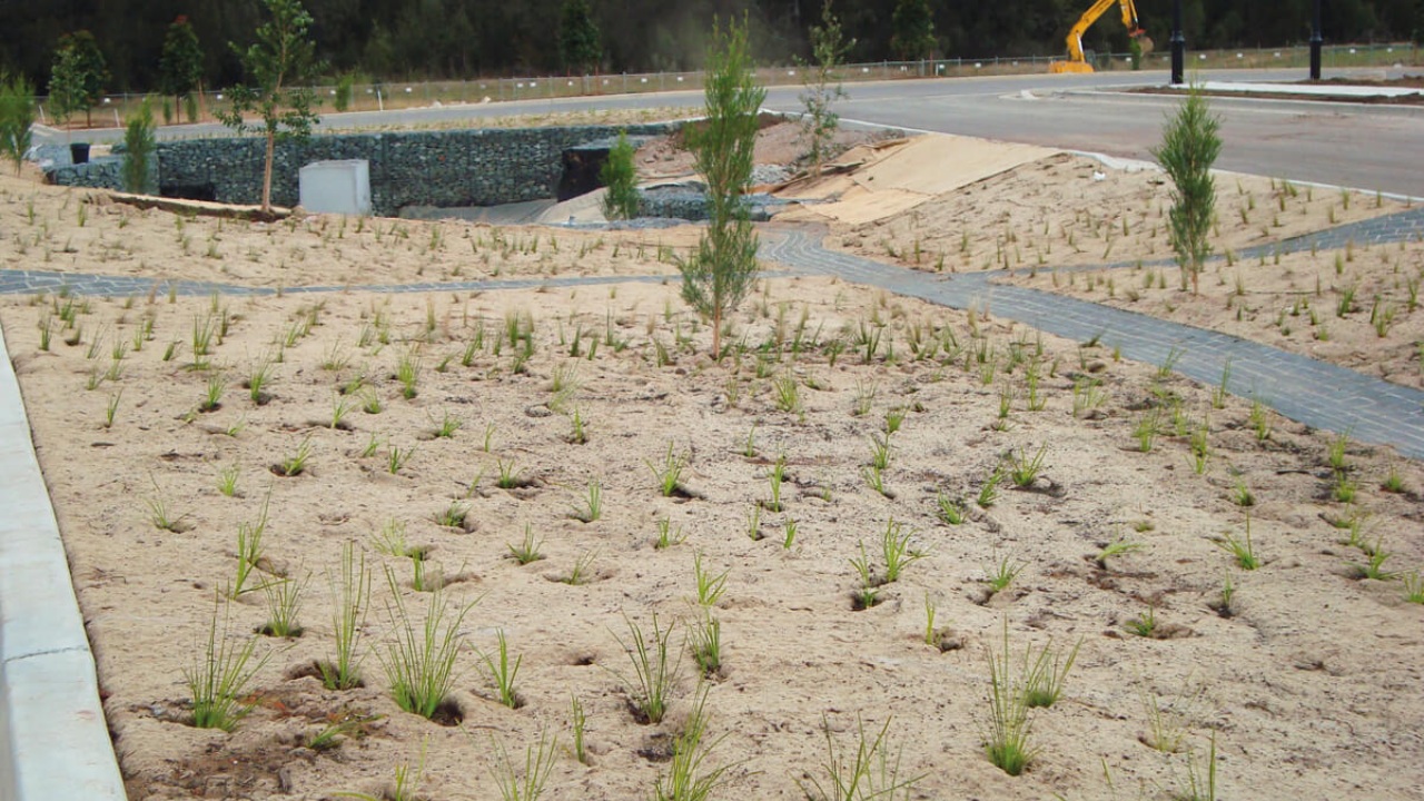 When to stabilise an embankment using biodegradable geosynthetics