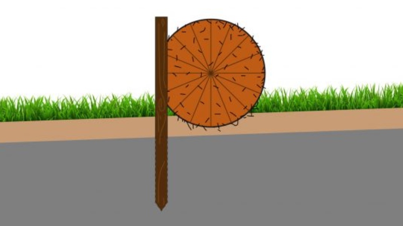 illustration of coir logs usage