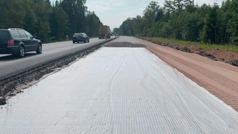 Geogrid in a road