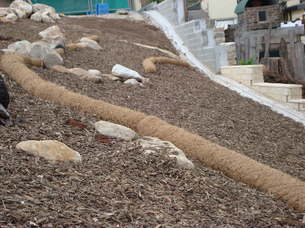 Coir Logs Enhance Shoreline